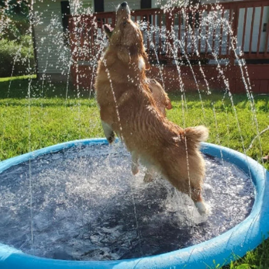 🔥HEIßER VERKAUF🔥Faltbarer Außenpool & Wassersprühmatte