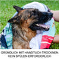 🐶🐱Wasserfreie Hundeshampoo-Handschuhe – Hypoallergene Badetücher für Haustiere, 6 Packungen