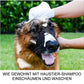 🐶🐱Wasserfreie Hundeshampoo-Handschuhe – Hypoallergene Badetücher für Haustiere, 6 Packungen