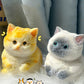 🎁 😻Niedliches, weiches Squishies-Spielzeug zum Stressabbau in Katzenform