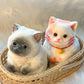 🎁 😻Niedliches, weiches Squishies-Spielzeug zum Stressabbau in Katzenform