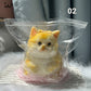 🎁 😻Niedliches, weiches Squishies-Spielzeug zum Stressabbau in Katzenform