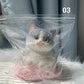 🎁 😻Niedliches, weiches Squishies-Spielzeug zum Stressabbau in Katzenform