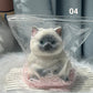 🎁 😻Niedliches, weiches Squishies-Spielzeug zum Stressabbau in Katzenform