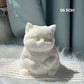 🎁 😻Niedliches, weiches Squishies-Spielzeug zum Stressabbau in Katzenform