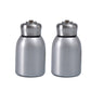 🎁Geschenkidee 49% OFF🔥Tragbare isolierte Wasserflasche für draußen