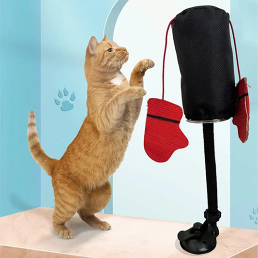 ⏳Begrenzte Zeit 50% Rabatt💥Interaktives Katzen-Boxsack-Spielzeug