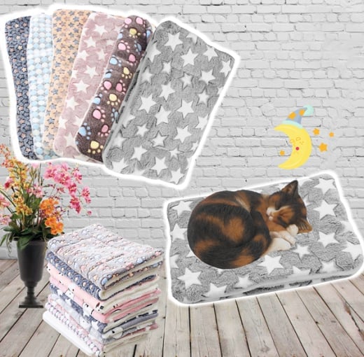 🔥Big Sale49% Off - Cozy Calming Cat Blanket