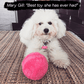 Anti-Angst Automatischer Bewegungsball für Hunde und Katzenspielzeuge