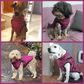 🎄Heißer Verkauf 49% Rabatt🎁🎄Winter Warm Haustier Hund Wasserdichte Jacke mit Geschirr🐩