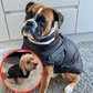 🎄Heißer Verkauf 49% Rabatt🎁🎄Winter Warm Haustier Hund Wasserdichte Jacke mit Geschirr🐩